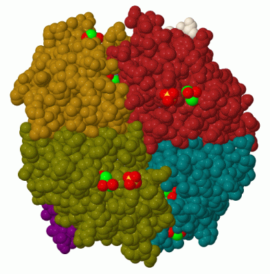 Image Biol.Unit 1 - manually