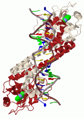 Image Biol.Unit 1 - manually