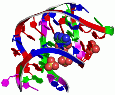 Image Asym./Biol. Unit - manually