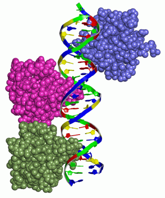 Image Asym./Biol. Unit - manually