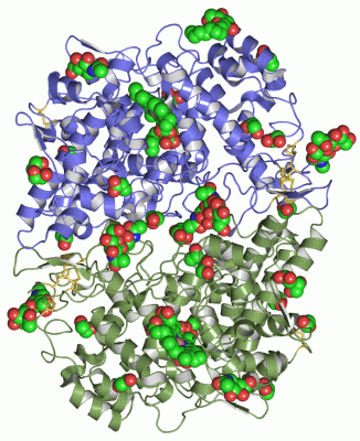 Image Asym./Biol. Unit - manually