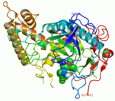 Image Asym./Biol. Unit - manually