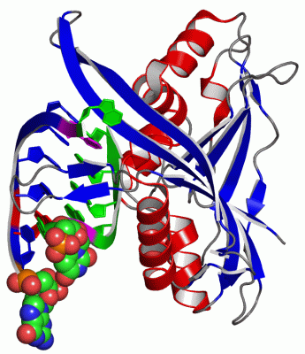 Image Asym./Biol. Unit - manually