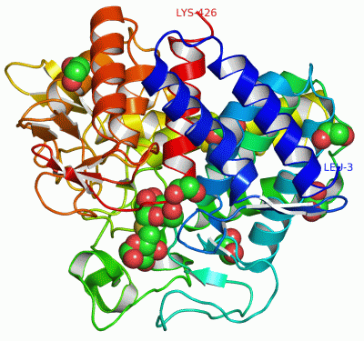 Image Asym./Biol. Unit - manually