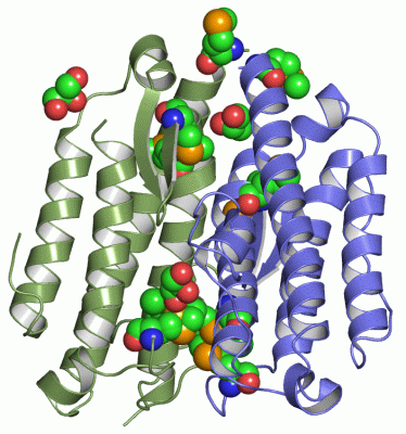 Image Asym./Biol. Unit - manually