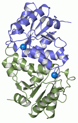 Image Asym./Biol. Unit - manually