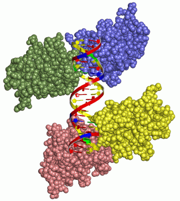 Image Asym./Biol. Unit - manually