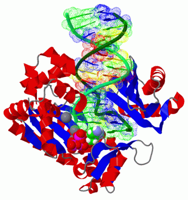 Image Asym./Biol. Unit - manually