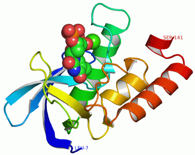 Image Asym./Biol. Unit - manually