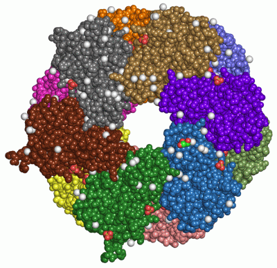 Image Asym./Biol. Unit - manually