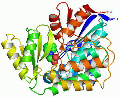 Image Asym./Biol. Unit - manually