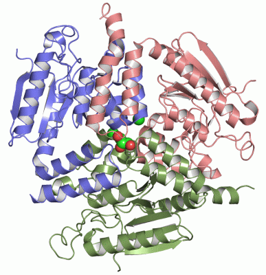 Image Asym./Biol. Unit - manually