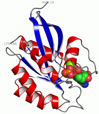 Image Asym./Biol. Unit - manually