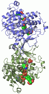 Image Asym./Biol. Unit - manually