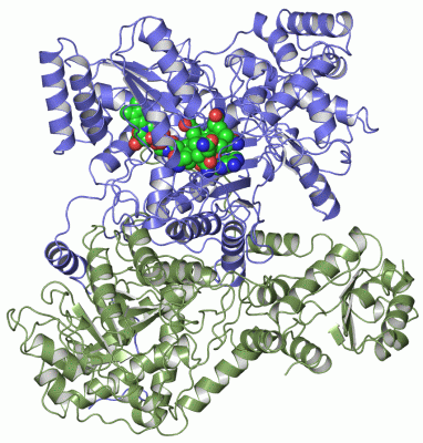 Image Asym./Biol. Unit - manually