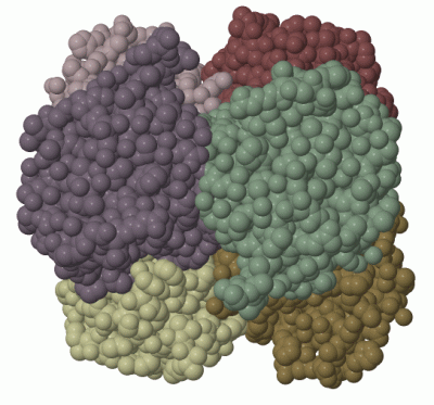 Image Biol.Unit 1 - manually