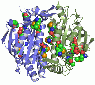 Image Asym./Biol. Unit - manually