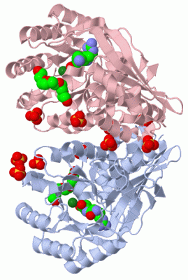 Image Biol.Unit 1 - manually