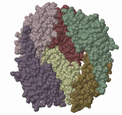 Image Biol.Unit 1 - manually