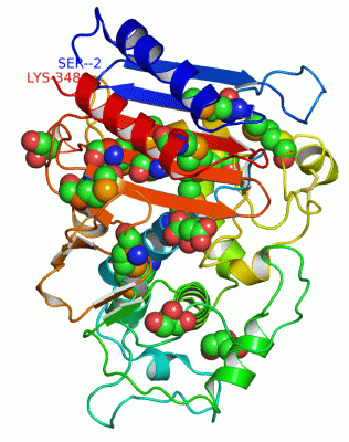 Image Asym./Biol. Unit - manually