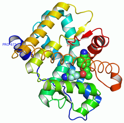 Image Asym./Biol. Unit - manually