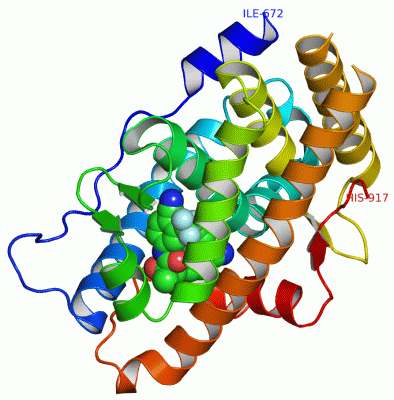 Image Asym./Biol. Unit - manually