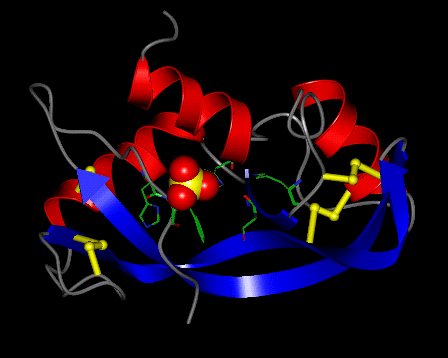 Image Asym./Biol. Unit - manually