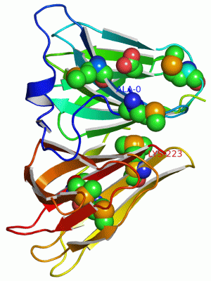 Image Asym./Biol. Unit - manually