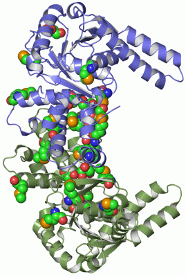 Image Asym./Biol. Unit - manually