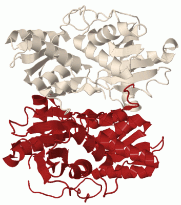 Image Biol.Unit 2 - manually