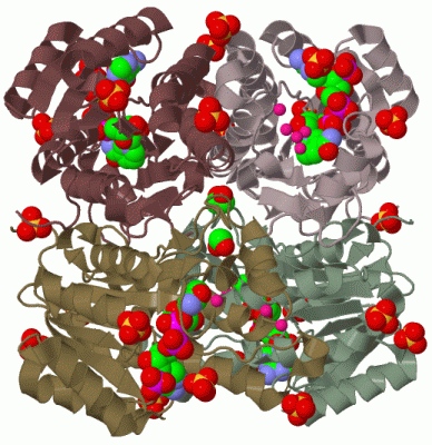 Image Biol.Unit 1 - manually