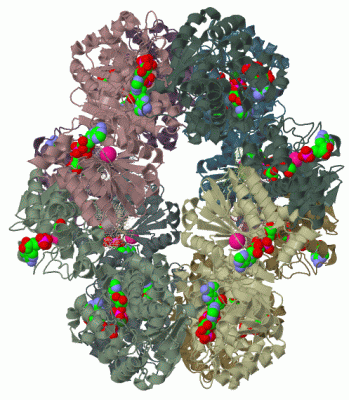 Image Biol.Unit 1 - manually