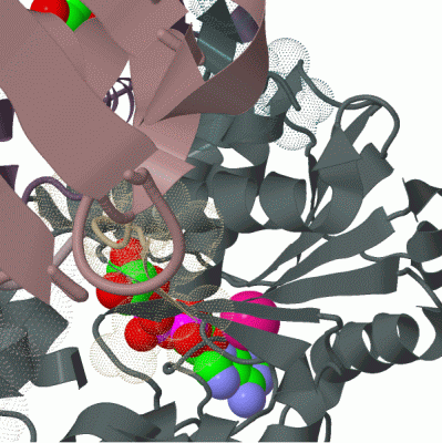 Image Biol.Unit 2 - manually