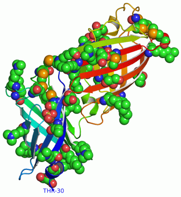 Image Asym./Biol. Unit - manually
