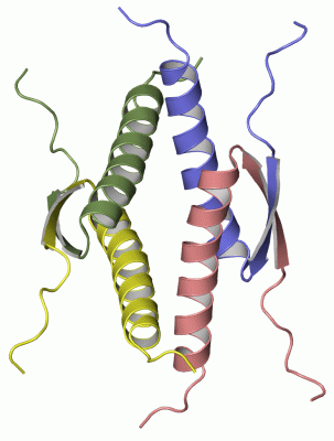 Image NMR Structure - manually