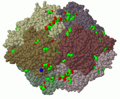 Image Biol.Unit 1 - manually