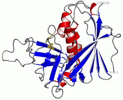 Image Asym./Biol. Unit - manually