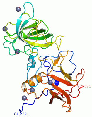 Image Asym./Biol. Unit - manually