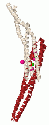 Image Biol.Unit 1 - manually