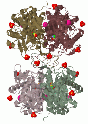 Image Biol.Unit 1 - manually