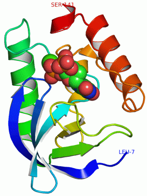 Image Asym./Biol. Unit - manually