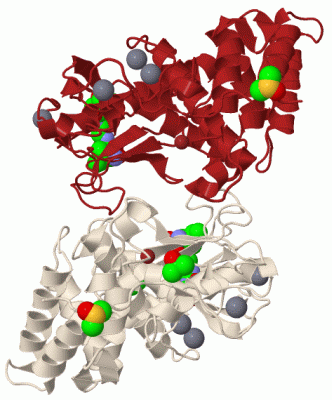 Image Biol.Unit 1 - manually