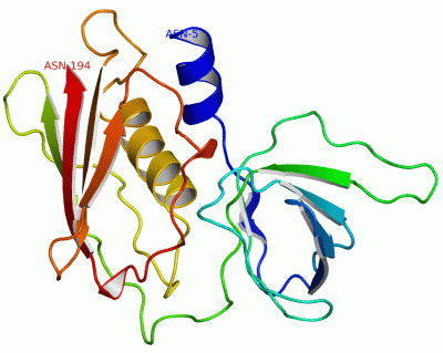 Image Asym./Biol. Unit - manually
