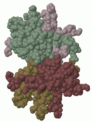 Image Biol.Unit 1 - manually