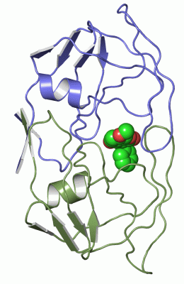 Image Asym./Biol. Unit - manually