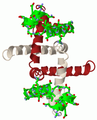 Image Biol.Unit 1 - manually