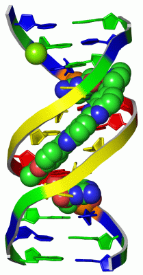 Image Asym./Biol. Unit - manually