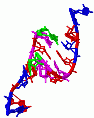 Image Biol.Unit 1 - manually