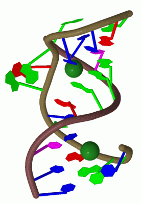 Image Biol.Unit 1 - manually