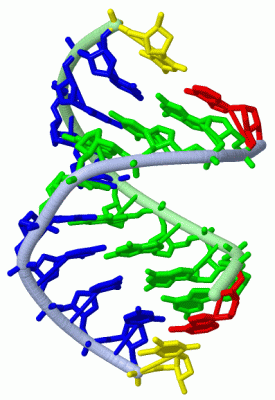 Image Asym./Biol. Unit - manually